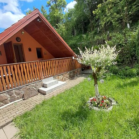 Casa Adimi Διαμέρισμα Σιγκισοάρα Εξωτερικό φωτογραφία
