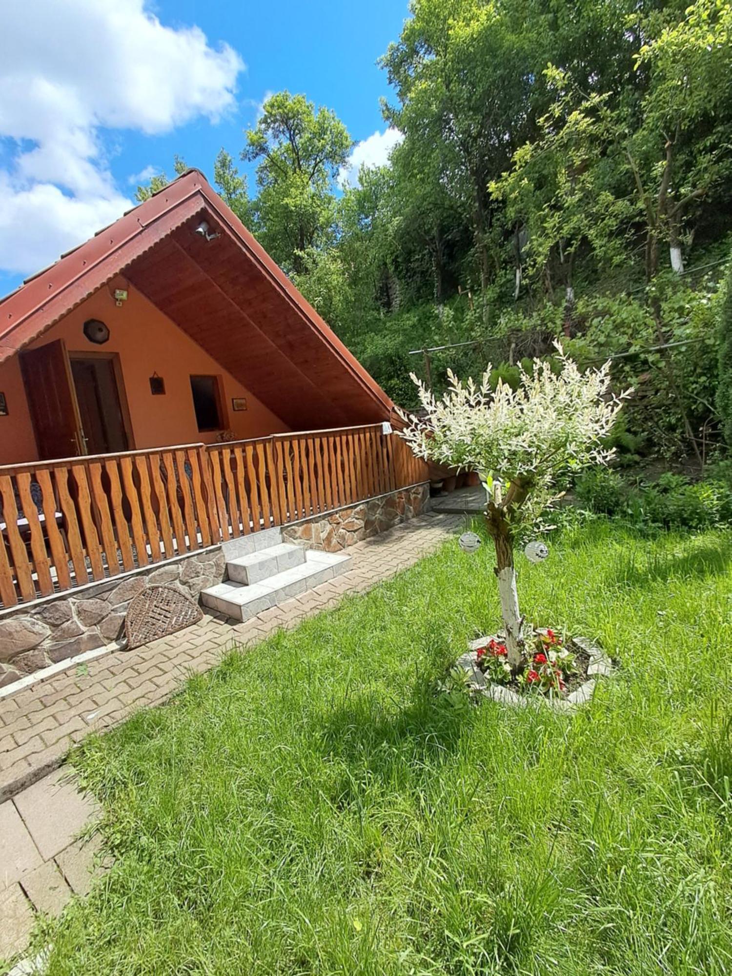 Casa Adimi Διαμέρισμα Σιγκισοάρα Εξωτερικό φωτογραφία